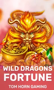 Wild Dragon`s Fortune
